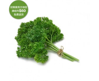 【疫情蔬果专区】西洋香菜 300克【请单独下单,不要和其它专区商品混搭】 【疫情蔬果专区】西洋香菜 300克【请单独下单,不要和其它专区商品混搭】